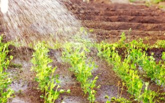 Удобрения для сада и огорода: 10 эффективных препаратов от Гала-Центр